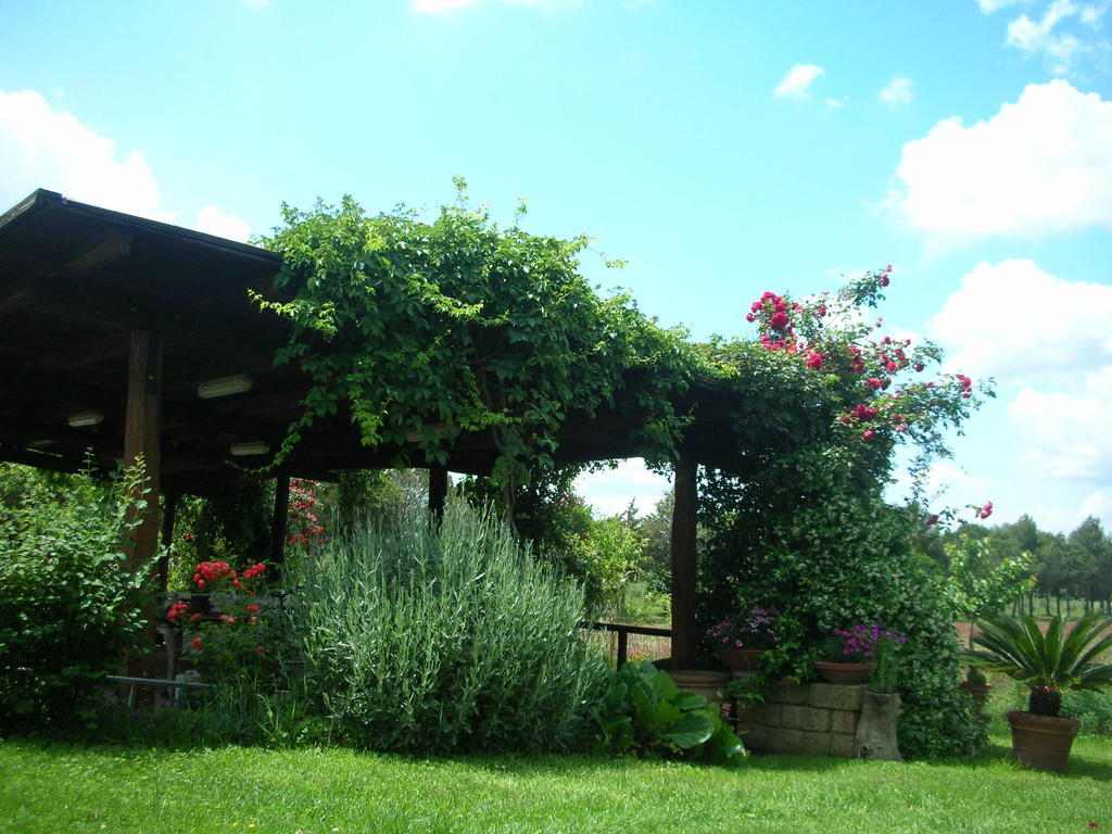 Podere Le Chiuse Sovana Bagian luar foto
