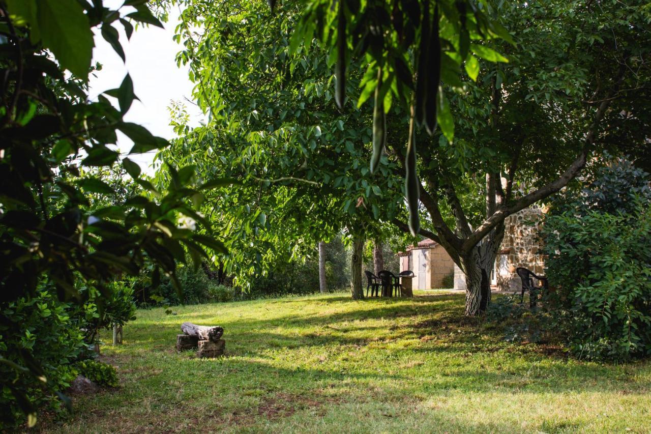 Podere Le Chiuse Sovana Bagian luar foto